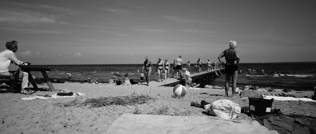 dsc0336 dsc0336