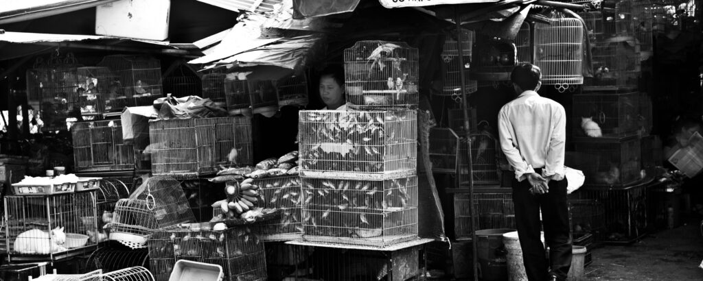 hanoi 003