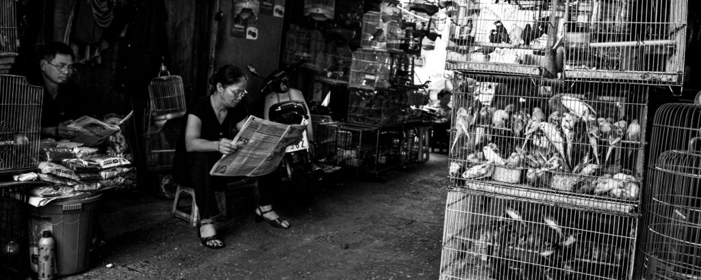hanoi 008